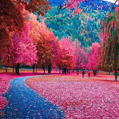 دیجی کیمیا قیزیم اورییمدی نازلی ملییمدی